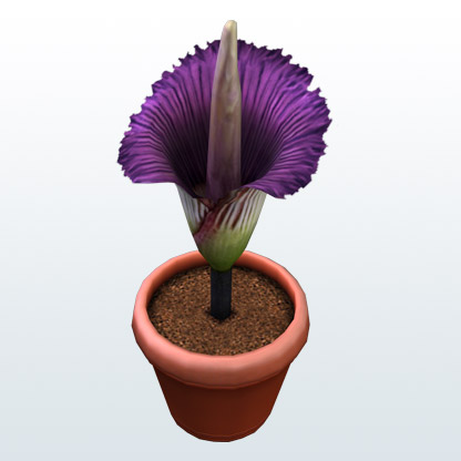 yarasosadsose's avatar
