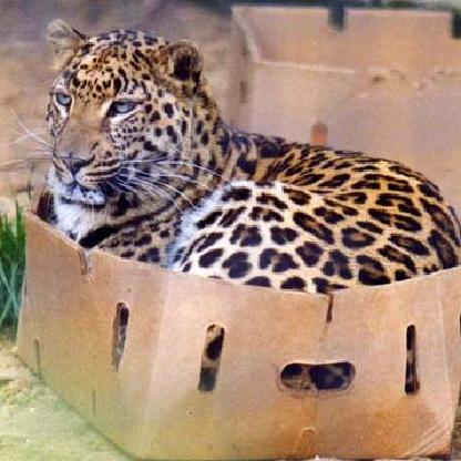 telefaxmann23's avatar