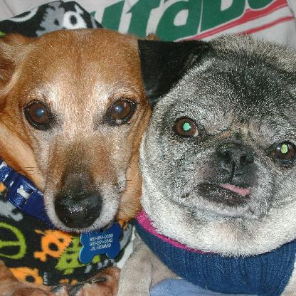 HoldenAfart22's avatar