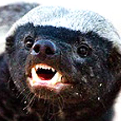 MrFlukeSkytalker's avatar