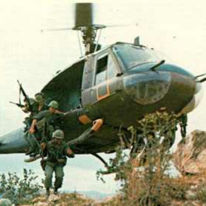 A_wild_raccoons's avatar