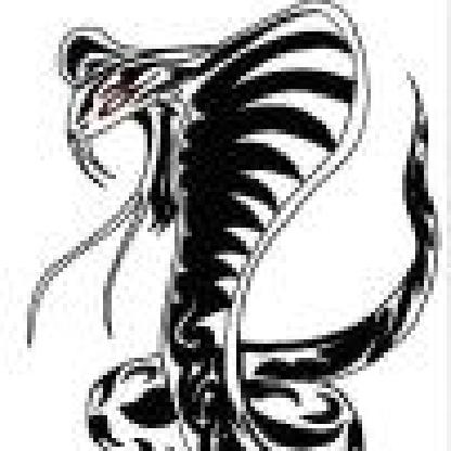 SaintAnarchy4734's avatar