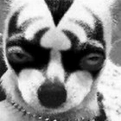 FoxyKISSDemon's avatar