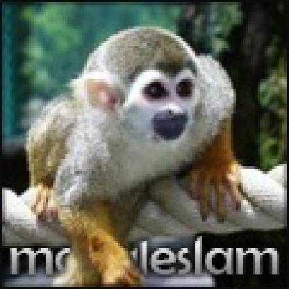moogleslam's avatar
