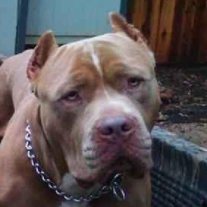 monkrotterdam's avatar