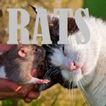 Mavpa_B_Tanke's avatar