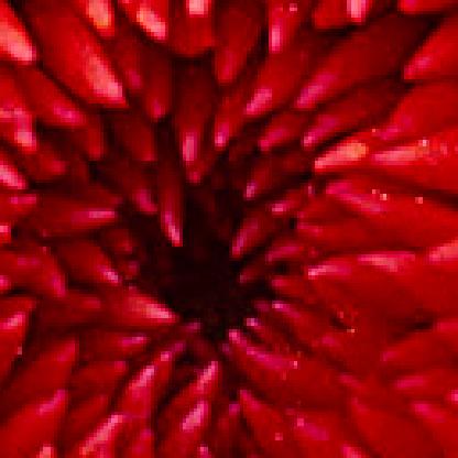 2c54420c7d6963c4's avatar