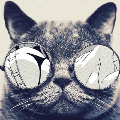 Maresal_Kedi's avatar