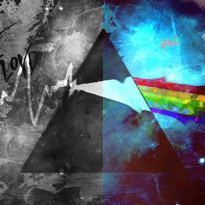 wiild_turtle's avatar