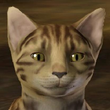 yetitaneko's avatar