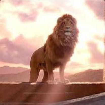 xLionHeart1x's avatar