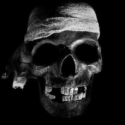 HaMa_Kurdish_1's avatar