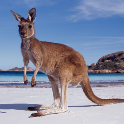 Isabella5sos's avatar