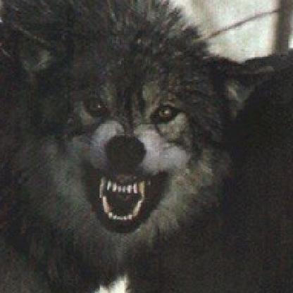 Barsokeks's avatar