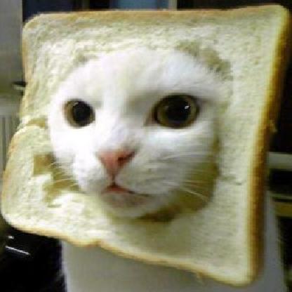 SophieFonfeque's avatar