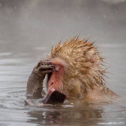 BoredWhiteGuy's avatar