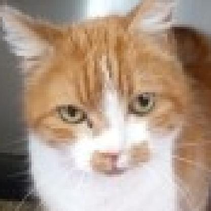 Victor_van_Void's avatar