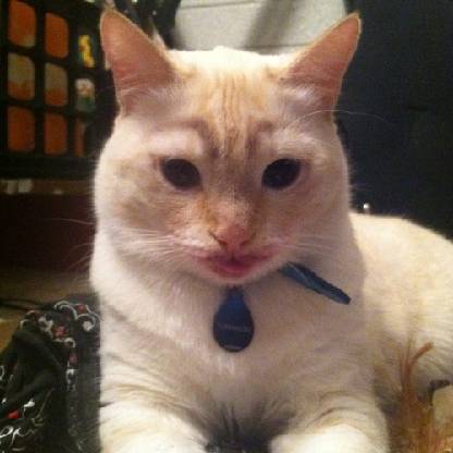 anonknitter's avatar