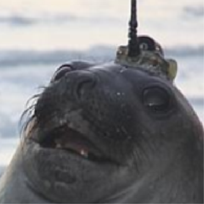 JigglyJogglers's avatar