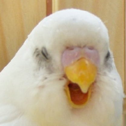 C0rvus_V's avatar