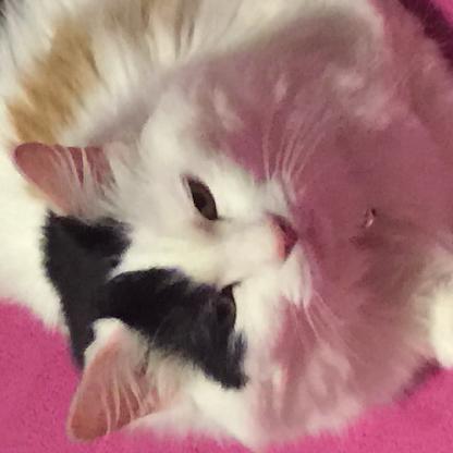 GurllyGamer15's avatar