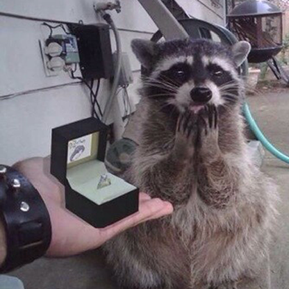 BannHammer1309's avatar