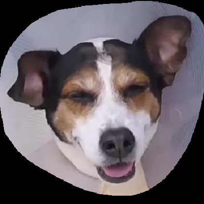 BestCuchilloNA's avatar
