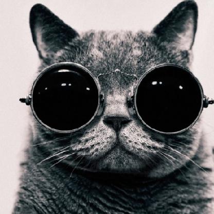 whereismycats's avatar