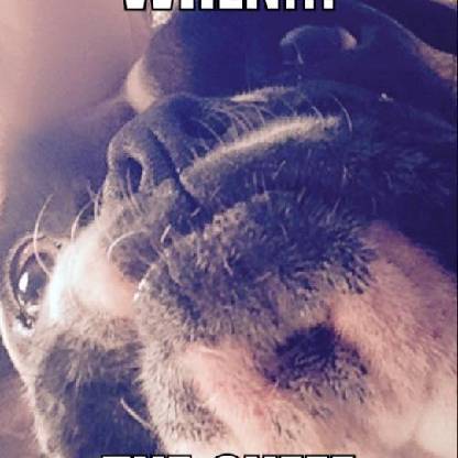 HornyNugget's avatar