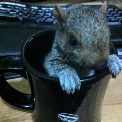 scorpiosymbol's avatar