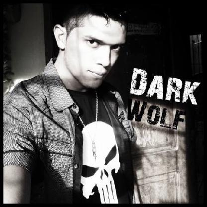 1Dark1Wolf1's avatar