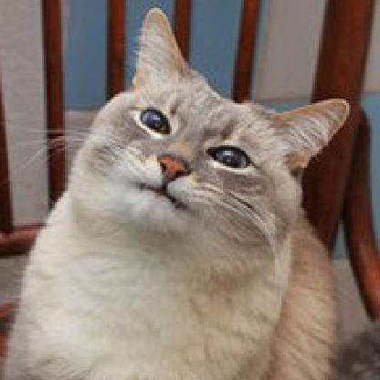 IScareWithLove's avatar