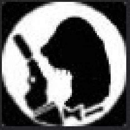 Ferret_was_here's avatar