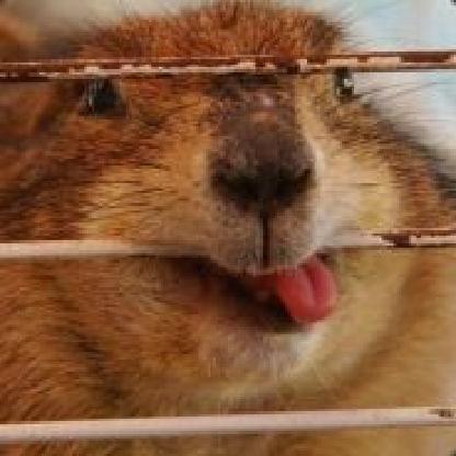 BootlegLenny's avatar