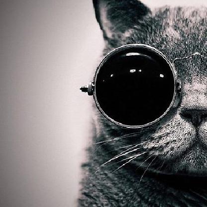 LucaPucchione's avatar