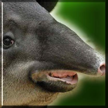 SoulTechnology's avatar