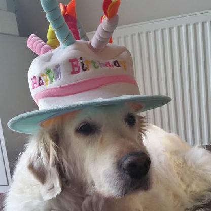 LordBogmonster's avatar