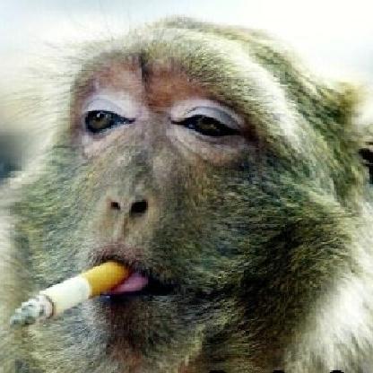 Heescher's avatar