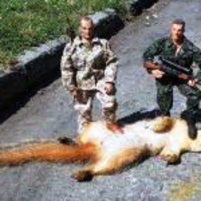 BillyJoeBadName's avatar