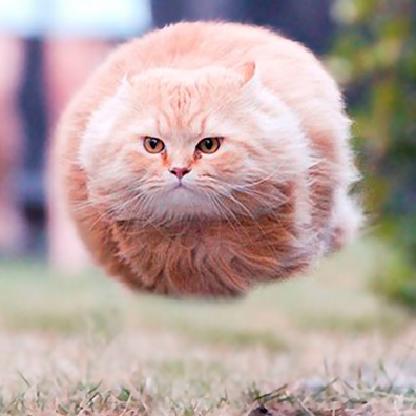 Kittzu_daze's avatar