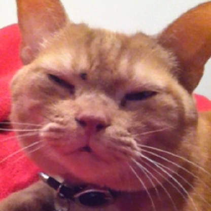 OatmealRaisin13's avatar