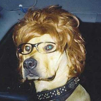 Fur_Turkey_Woo's avatar