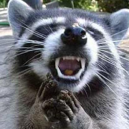 FULLBUSTERKILL's avatar