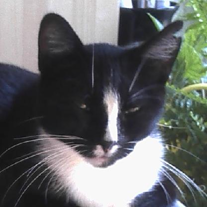Struppy05's avatar