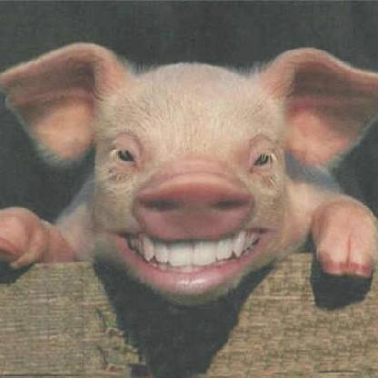 Fuzzibojangles's avatar