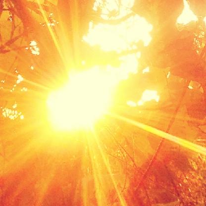 Paltafugitiva's avatar