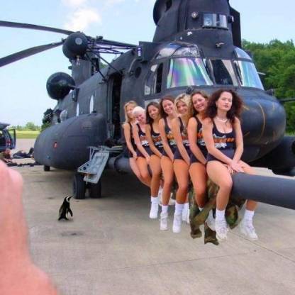 chinook240's avatar