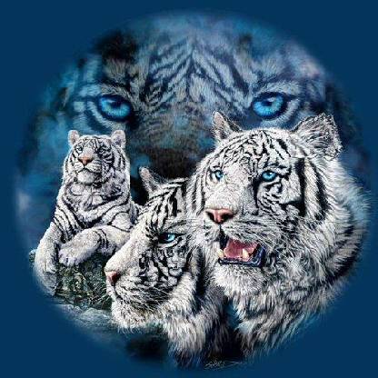 CATEYESKRS's avatar