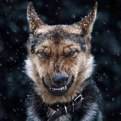 JamesTakapotku's avatar