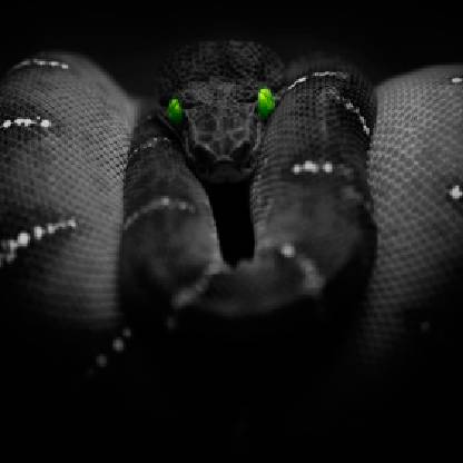 KujiraSupra's avatar